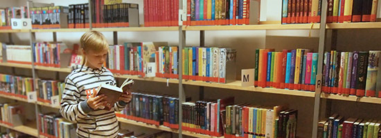 Medienbestand: Junge stöbert vor vollem Bücherregal.